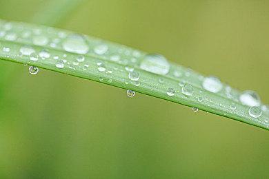 《暗影火炬城》将于9月7日在PS4与PS5上推出！